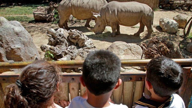 Imagen foto_00000014