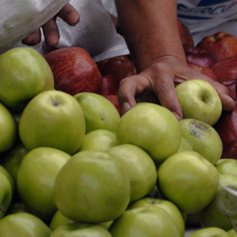 Preocupación en campesinos y temporeras por efectos de las heladas
