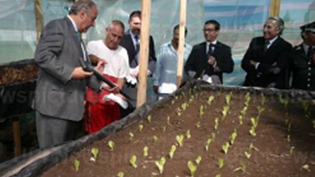 El sector agroganadero pagará más impuestos en Paraguay tras la reforma