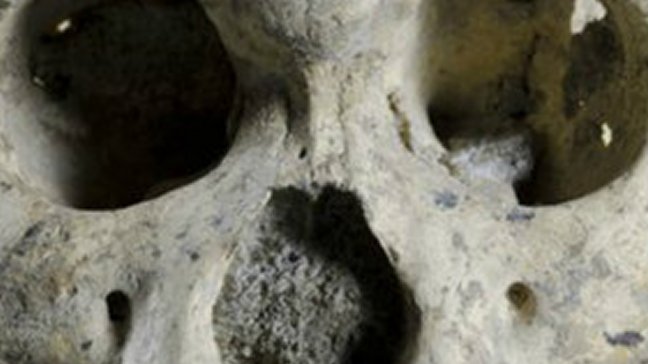 Los seres humanos evolucionaron 