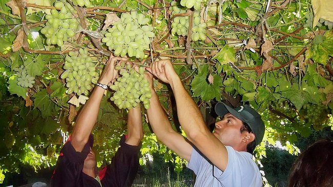 Chile presentó en la India su modelo de desarrollo agrícola