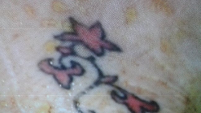 Registro Civil reveló identidad de mujer mutilada