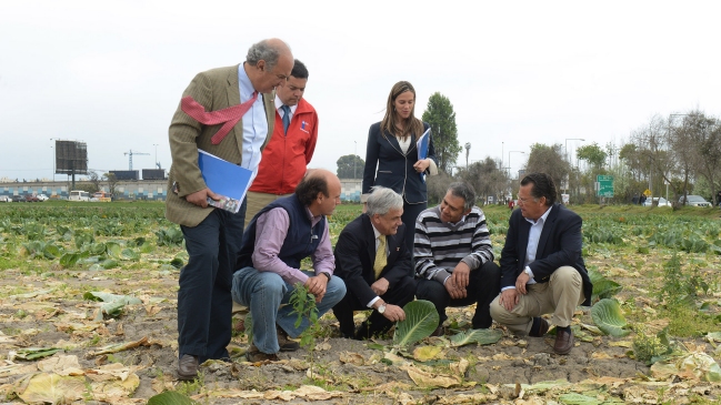 Piñera entregó más de 600 bonos a agricultores afectados por sequía