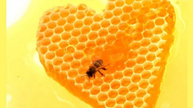 La campaña que busca salvar las abejas