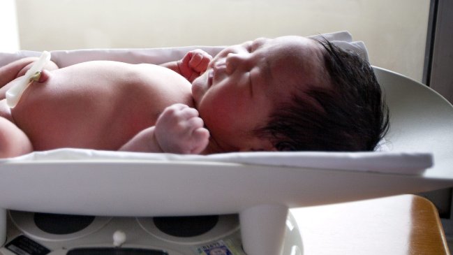 Alemania introdujo un 