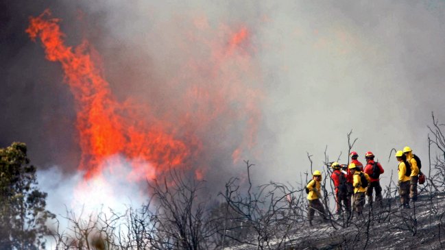 Continúa alerta roja en Quillota por incendio forestal