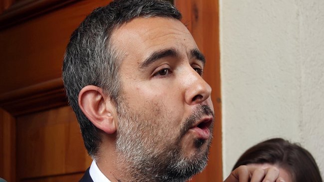 Director de Asociación de Eléctricas: Bachelet y Matthei están conscientes de los problemas