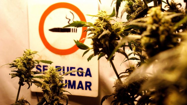 Mujica pidió que el mundo ayude a Uruguay en su 