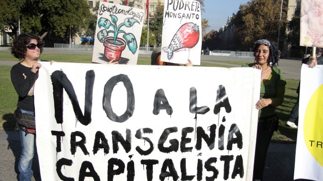 Monsanto acusó desinformación sobre de ley de obtentores vegetales