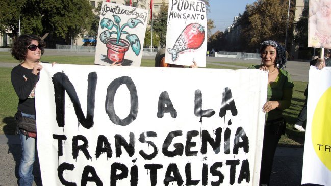 Monsanto acusó desinformación sobre de ley de obtentores vegetales