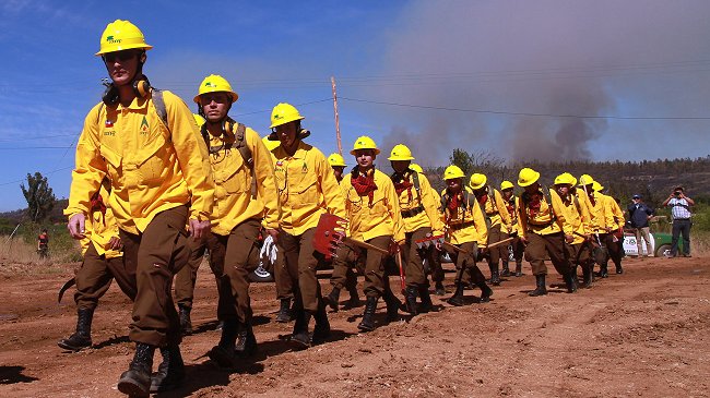 Director de Conaf: Hay mentes enfermas detrás de los incendios forestales