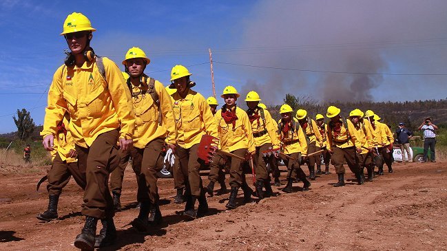 Director de Conaf: Hay mentes enfermas detrás de los incendios forestales