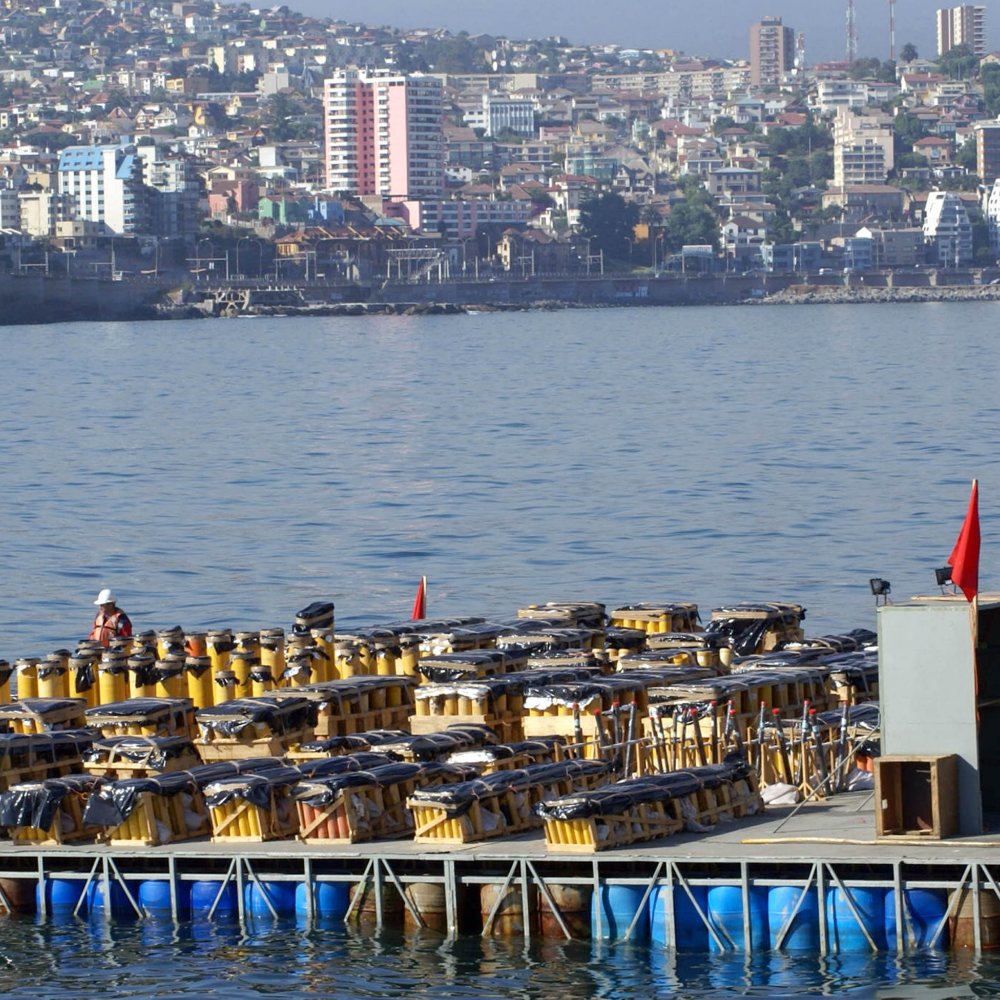 Viña del Mar tiene 70% de su capacidad reservada para el Año Nuevo