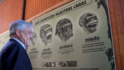 Presidente Piñera anunció proyecto para modernizar el Zoológico Metropolitano