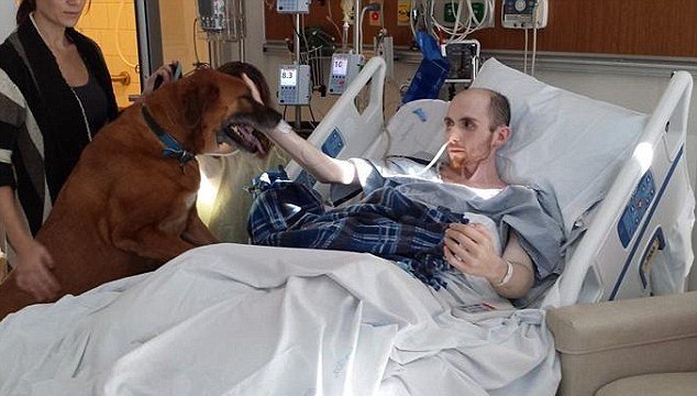 Perro se despidió de su amo que está en estado terminal