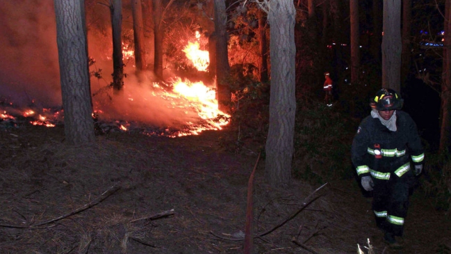 Incendio forestal en Angol obligó a evacuar localidad de Huequén