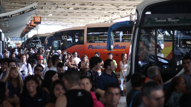 Siete personas han sido multadas por no usar cinturón de seguridad en buses