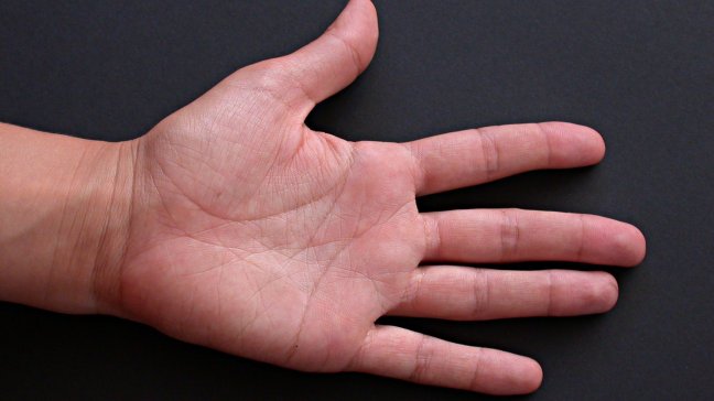 Tu siguiente contraseña digital puede ser la palma de la mano