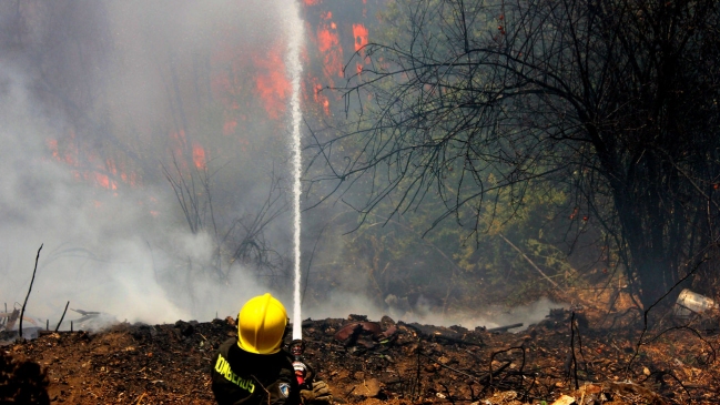 Alertas rojas por incendios forestales en la Región de Valparaíso