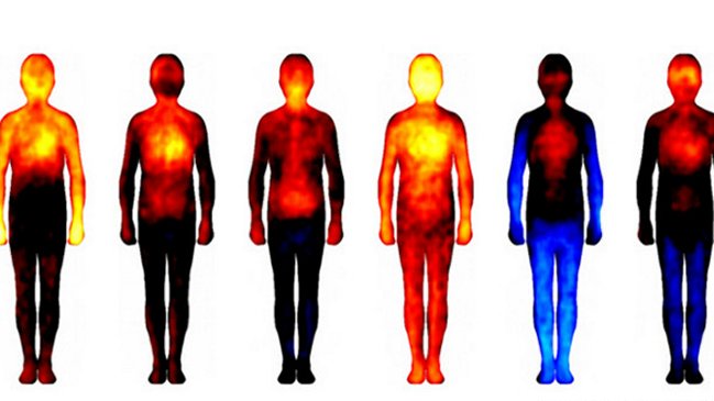 Crean un mapa corporal de las emociones