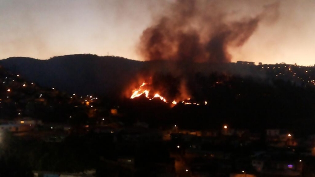 Incendio forestal en Fundo El Pajonal amenaza viviendas en