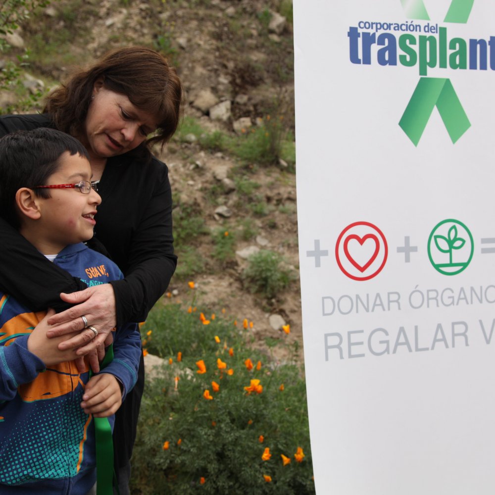 Donantes de órganos cayeron 30 por ciento entre 2012 y 2013