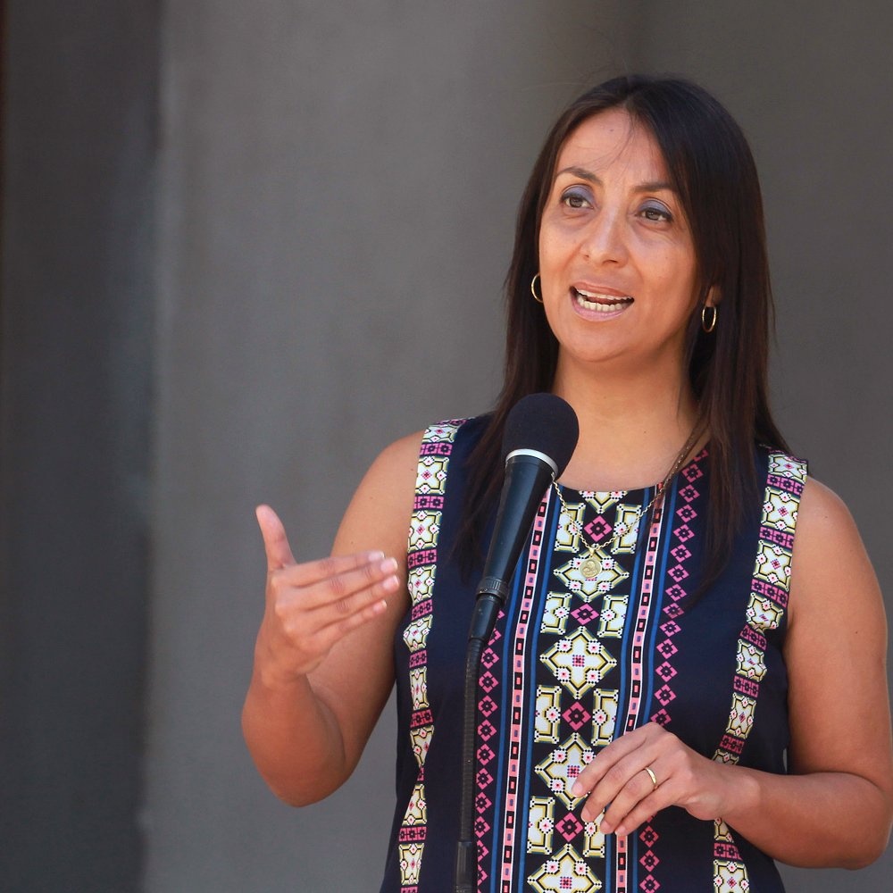 Chadwick viaja a La Araucanía a seis años de la muerte de Catrileo