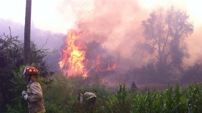 Continúa arduo trabajo para controlar incendio forestal en Melipilla
