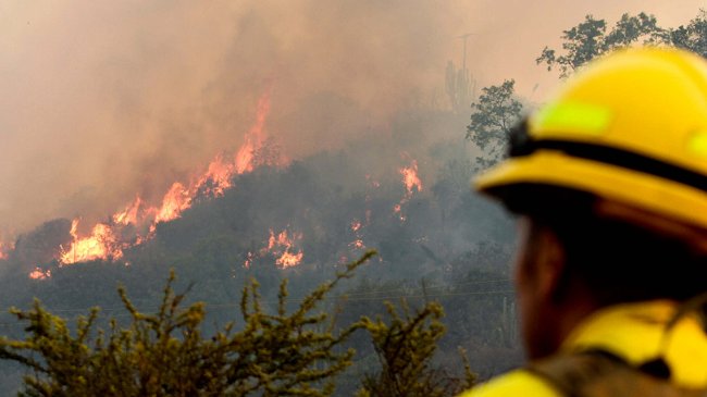Regiones del Maule, Biobío y La Araucanía bajo alerta roja por incendios forestales