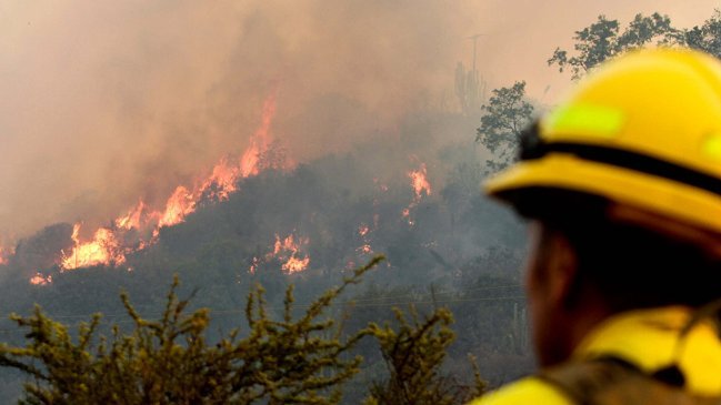 Regiones del Maule, Biobío y La Araucanía bajo alerta roja por incendios forestales