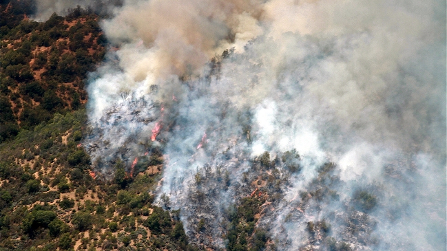 Fiscal preferente investigará incendio forestal de Melipilla