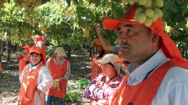 Temporeros piden protección contra los rayos UV