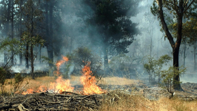 Continúa enfrentamiento de incendios forestales en la Región Metropolitana