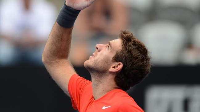 Juan Martín del Potro disputará la final del Torneo de Sydney