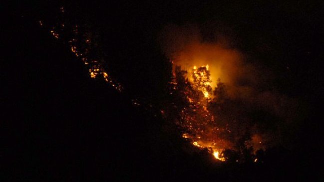 Incendio forestal en Batuco, Región del Maule, fue controlado
