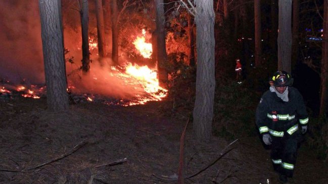 Intendencia declaró Alerta Roja en Región del Biobío por incendios forestales