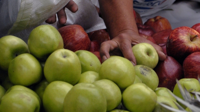 Exportación chilena de fruta aumentó en valor y en volumen durante 2013