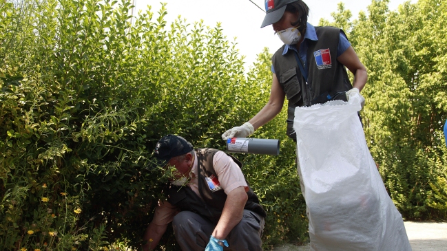 Fiscalizan campings en Villa Alemana por temor al hanta