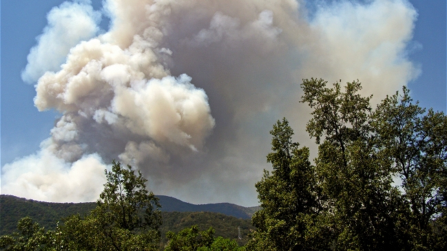 Experto pidió al Gobierno a concentrar esfuerzos en combatir los incendios forestales