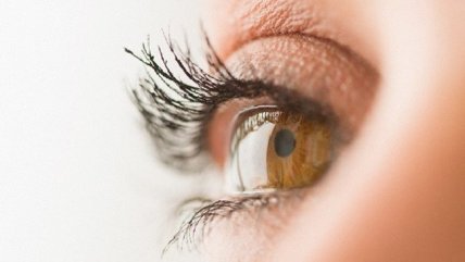  Terapia genética para tratar la ceguera  