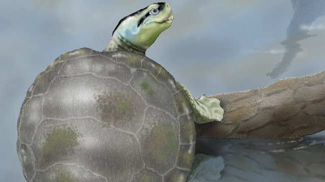 Científicos descubren una tortuga jurásica en Portugal