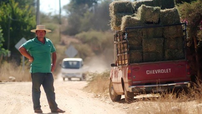 Tasa de desocupación en trimestre octubre-diciembre fue de 5,7 por ciento