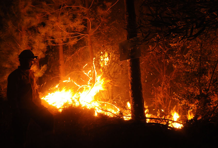 Incendio forestal ha consumido más de 700 hectáreas en San Antonio