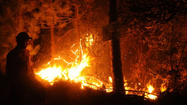 Incendio forestal ha consumido más de 700 hectáreas en San Antonio