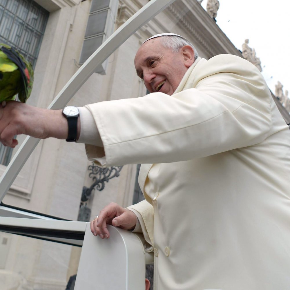 Papa Francisco animó a los movimientos para 