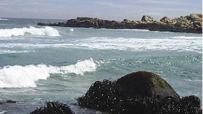 Nuevo derrame de aguas servidas afectó a playas de El Quisco