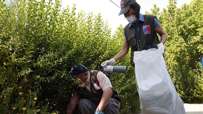 ISP recomendó acudir a centros asistenciales ante síntomas de virus hanta