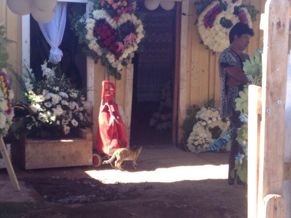 Niño asesinado en Padre Hurtado será enterrado este lunes