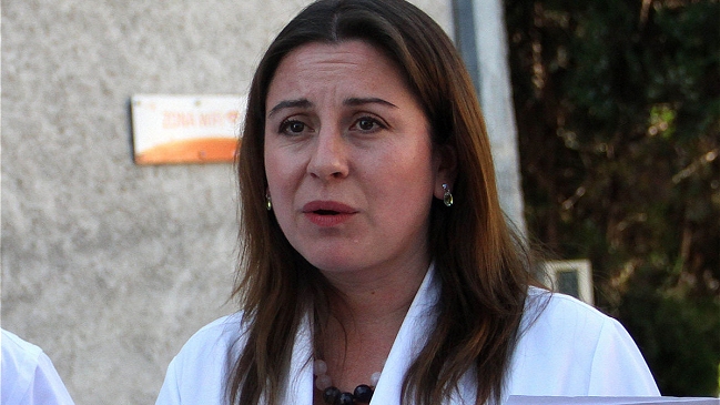 Seremi de Salud: No se encontraron ratones colilargos en Isla de Maipo