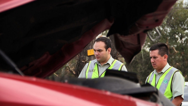 Un muerto dejó choque contra un árbol en la Alameda